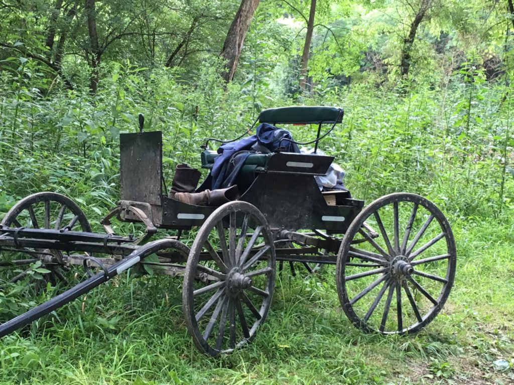 An Amish Buggy parked by the Mohican River while the Amish youth who 