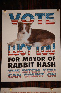 Rabbit Has Mayor - Lucy Lou