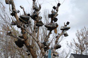 "Shoe Tree" in Talent, OR