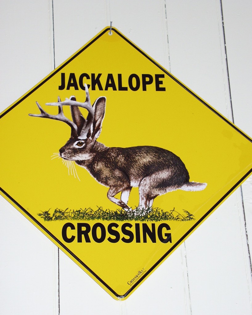 Jackalope Crossing