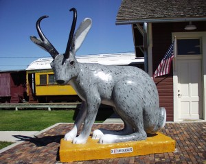 Large Jackalope - Douglas, WY