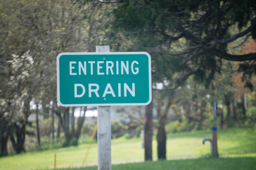 Drain, OR