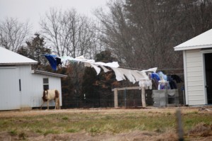 Amish Laundry hanging to dry - Crab Orchard, KY