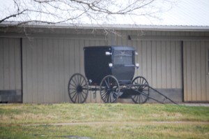 Lonely Amish Buggy