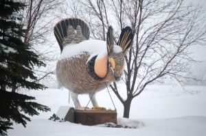 Greater Prairie Chicken Statue - Rothsay, MN