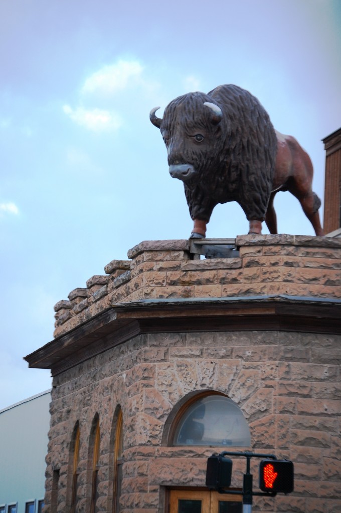 Fiberglass Buffalo Statue - Driggs, ID