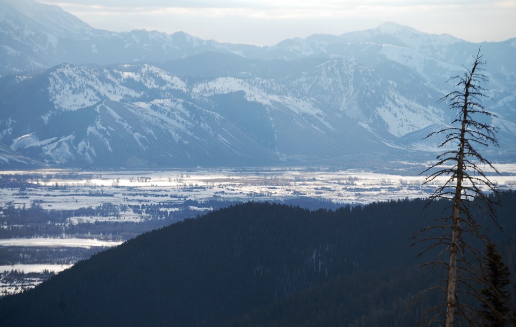 Jackson Hole Valley as seen from Teton Pass