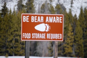 Be Bear Aware Sign