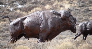Bronze Buffalo near Jackson