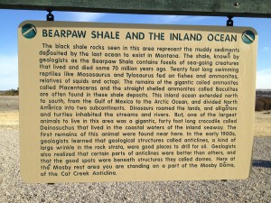 Bearpaw Shale Historical Marker at Mosby Rest Area