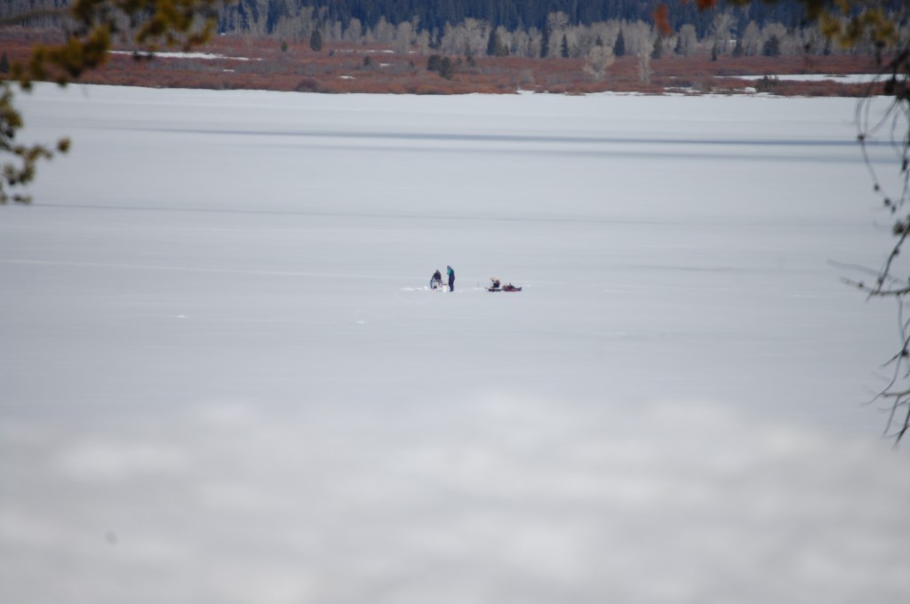 Ice Fishing on Jackson Lake - the little dots