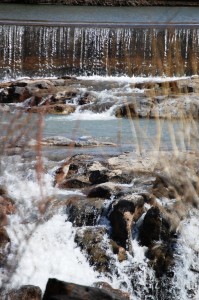 Snake River in Idaho Falls