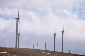 Turbines from the Wolverine Creek Wind Farm