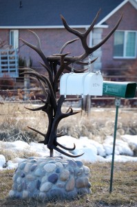 An elk horn mailbox in Thornton, ID
