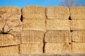 Hay stacked in the fields near Ashby, ID