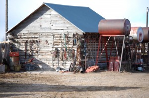 An old barn with junk on it near Thornton, ID