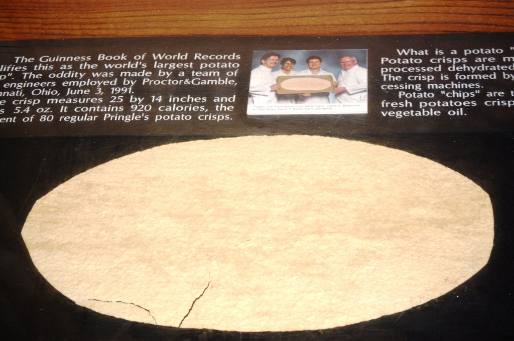 World's Largest Potato Chip - 23" x 14.5"
