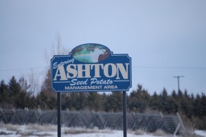 Welcome to Ashton
