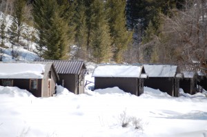 Snow Covered Cabins