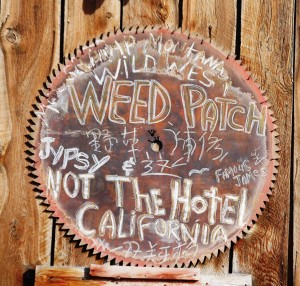 Weed Patch Sign