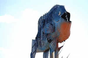Giant Blue Gill at "Fisherman's Dream"
