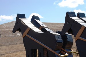 The Wooden Horses at "Teddy Rides Again"