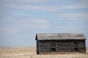 Old Wooden Homestead east of Shelby, MT