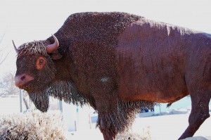Big Buffalo in downtown Havre