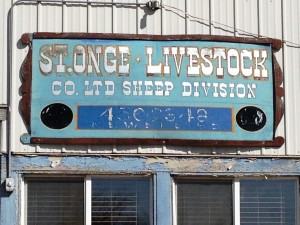 Livestock Sign - Newell, SD