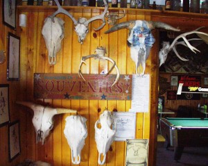 Many antler mounts - Stoneville Saloon