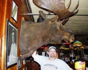 Big Moose at Ole's (and one with antlers too)