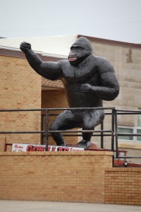 Gregory - Home of the Gorillas