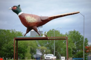 Pheasant Statue, Winner, SD