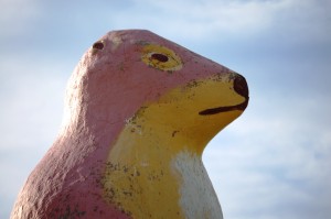 Here's Looking at You - Giant Prairie Dog