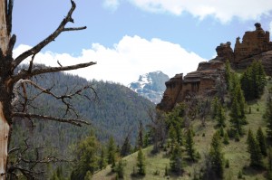 Sandstone Cliffs and Mountains west of Wapiti