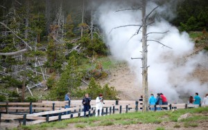 Steam from Hot Springs - Yellowstone National Park