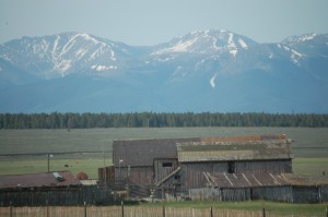Old barns in the shadow of the Sawatch Range as seen from US 24