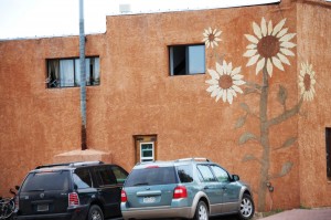 Flowery Walls in Westcliffe, Colorado