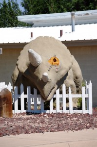 A de-horned Dino in Clayton, New Mexico