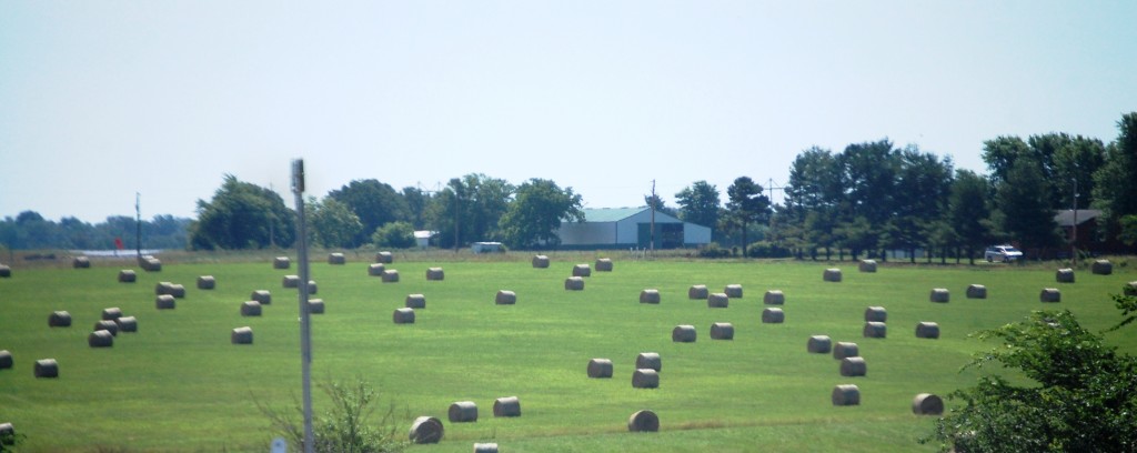 Rolled hay bales on US 60 east of Seymour, Missouri