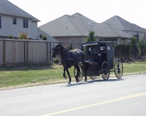 Amish buggy in modern neighborhood in Oxford County, Ontario
