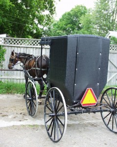 Amish buggy and horse parked in a lot in Oxford COunty