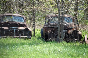 Old cars in trees near Albatross, Missouri