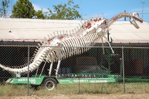 Big White Dino made of old car parts - Bertram, Texas