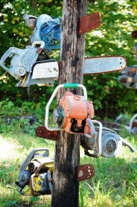 Chainsaw Totem Pole - Medford, Wisconsin