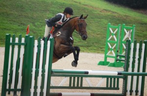Show Jumping at Kentucky Horse Park