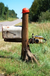 Chainsaw Mailbox - Medford, Wisconsin