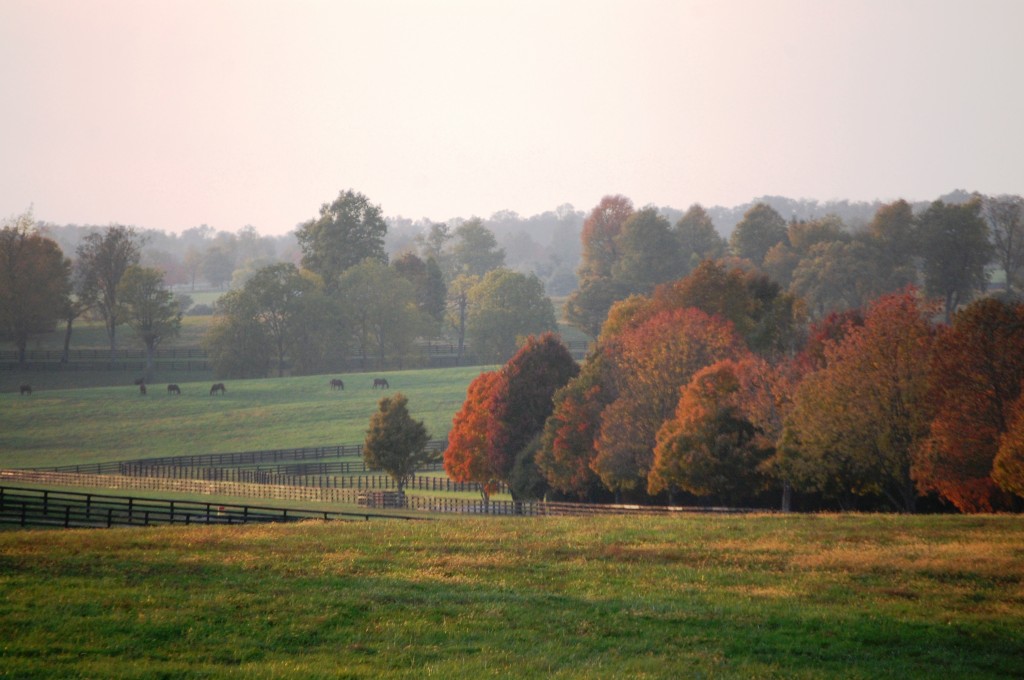 Horse Country - Lexington, Kentucky