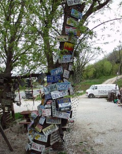 License Plate Tree at Hillbilly Hot Dogs