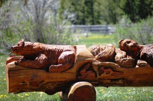 Relaxing Bears - Sawtooth City, Idaho